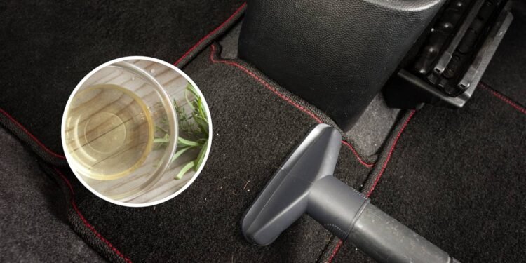 Poucos sabem para que serve despejar vinagre nos tapetes do carro