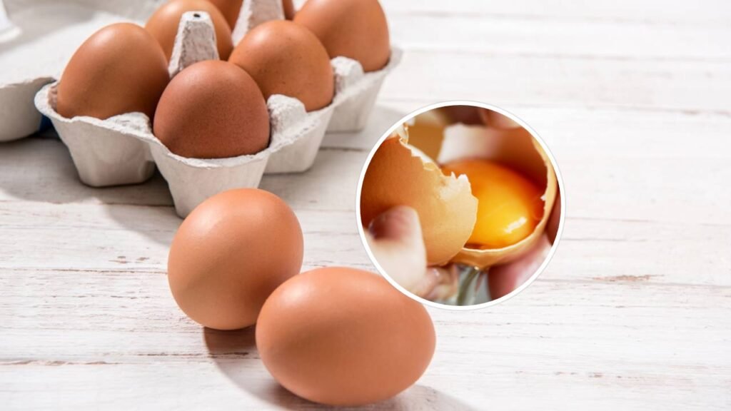 O que é aquele rabisco branco que fica preso na gema do ovo quando você quebra