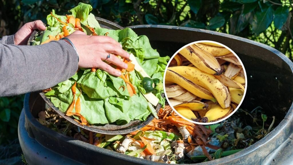 Esses são os itens que você NUNCA deveria jogar no lixo da cozinha