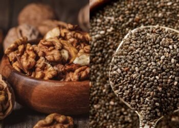 Por que você deveria adicionar nozes e sementes na sua dieta hoje mesmo