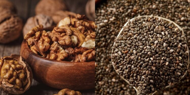 Por que você deveria adicionar nozes e sementes na sua dieta hoje mesmo