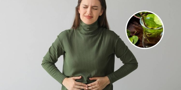 Rico em compostos fenólicos e flavonoides, o chá de louro atua como agente anti-inflamatório natural - Créditos: depositphotos.com / Nikolay_Donetsk / Créditos: depositphotos.com / serezniy