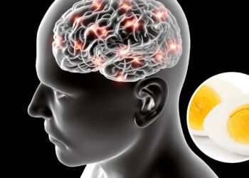 O que acontece no seu cérebro quando você come alimentos ricos nesse nutriente?