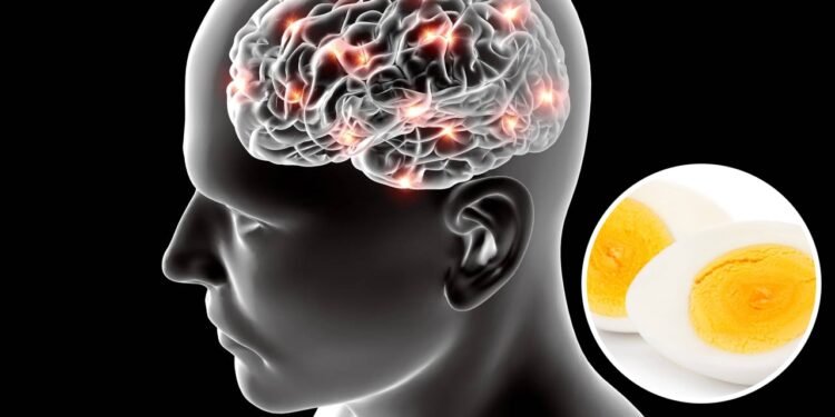 O que acontece no seu cérebro quando você come alimentos ricos nesse nutriente?