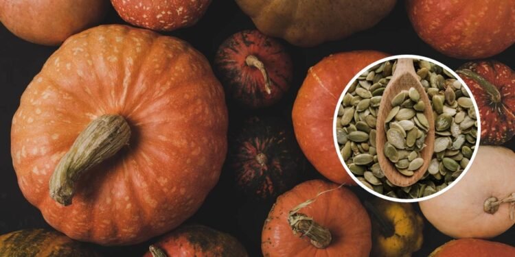 Essas são as principais vantagens de moer sementes de abóbora
