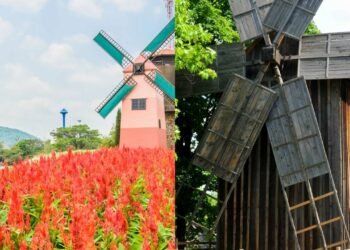 Poucos sabem por que recomendam colocar moinhos de vento no jardim das casas