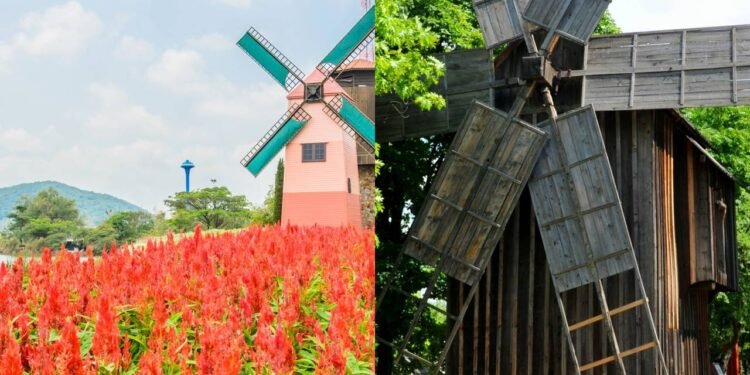 Poucos sabem por que recomendam colocar moinhos de vento no jardim das casas