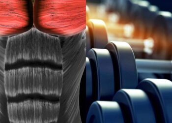 2 exercícios melhores do que o supino reto com barra para fortalecer o peito