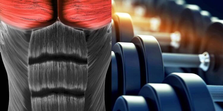 2 exercícios melhores do que o supino reto com barra para fortalecer o peito