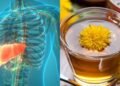 Essa bebida natural pode ser sua aliada número 1 na saúde do seu fígado