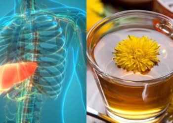 Essa bebida natural pode ser sua aliada número 1 na saúde do seu fígado