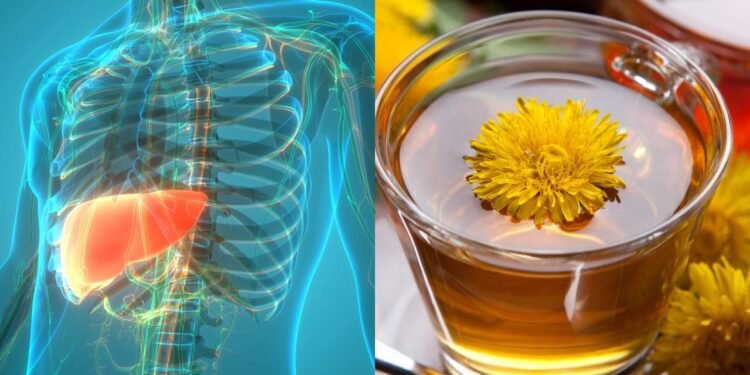 Essa bebida natural pode ser sua aliada número 1 na saúde do seu fígado