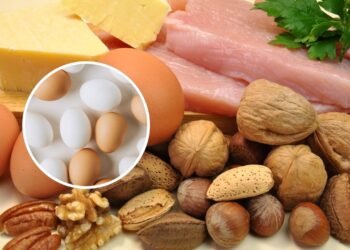 Essas são as proteínas consideradas melhores que o ovo, e fáceis de preparar