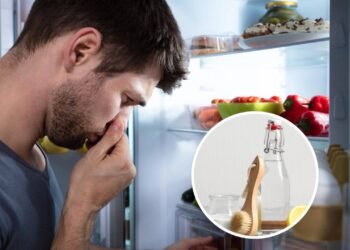 Sua geladeira tem mau cheiro? Passo a passo, como removê-lo facilmente