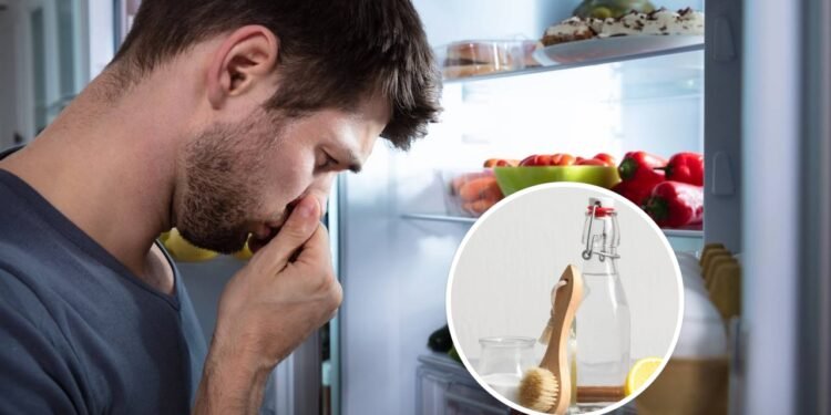 Sua geladeira tem mau cheiro? Passo a passo, como removê-lo facilmente