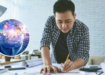 Poucos sabem a idade em que uma pessoa atinge o seu máximo de QI