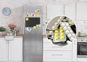 Os 7 itens que você nunca deve colocar em cima da geladeira