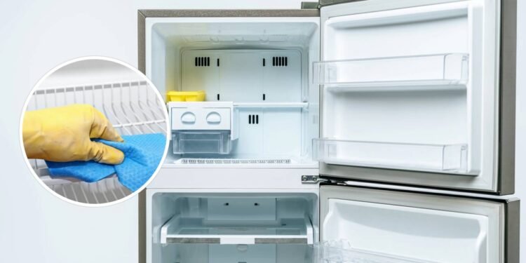 O passo que quase ninguém faz ao limpar a geladeira e que previne bactérias