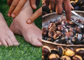 Essa castanha está ajudando milhares de pessoas a aliviar o inchaço nas pernas