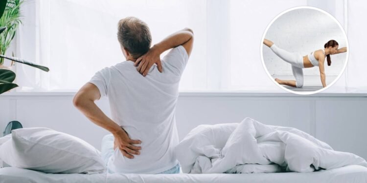 Se você sente dores nas costas constantemente, essa série de exercícios pode trazer um alívio quase que imediato