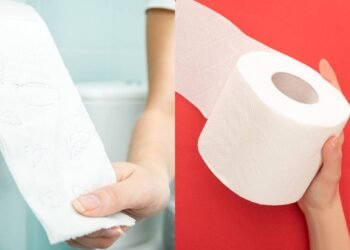 Poucos sabem qual é a maneira correta de colocar papel higiênico