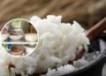 Por que você não deve guardar arroz cozido para o dia seguinte