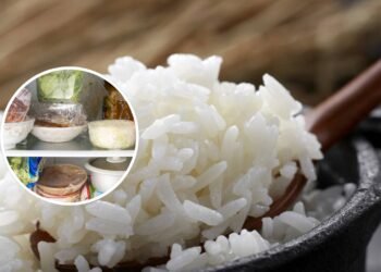 Por que você não deve guardar arroz cozido para o dia seguinte