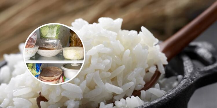 Por que você não deve guardar arroz cozido para o dia seguinte