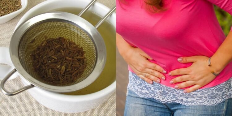 O anetol, presente na erva-doce, possui ação antiespasmódica, ajudando a relaxar os músculos do útero - Créditos: depositphotos.com / HeikeRau / Créditos: depositphotos.com / Roman_Yanushevsky