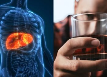 O que acontece com o seu fígado quando você bebe álcool constantemente?