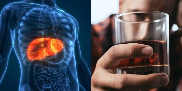 O que acontece com o seu fígado quando você bebe álcool constantemente?