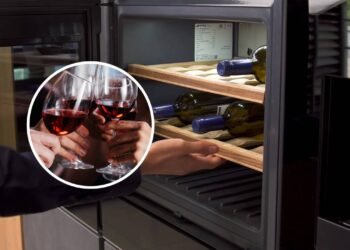 Poucos sabem qual é a temperatura correta para cada tipo de vinho