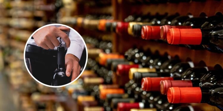 Qual é a melhor época para abrir um vinho? Variedades e estilos que evoluem com o envelhecimento