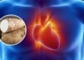 O alimento mais completo para energia, digestão e a saúde cardiovascular