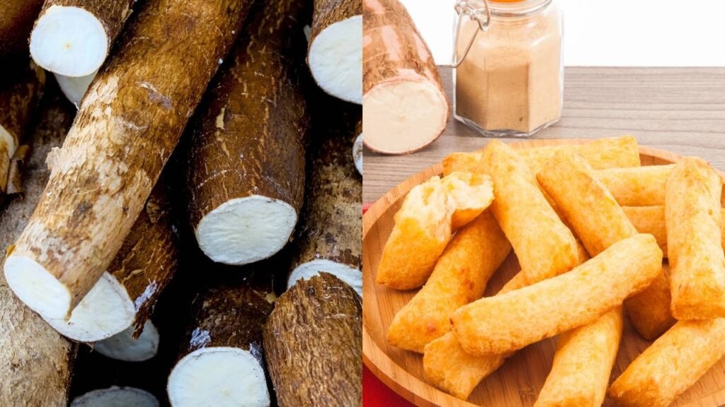 O alimento mais completo para energia, digestão e a saúde cardiovascular