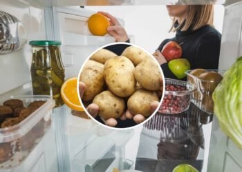 O vegetal que muitos guardam na geladeira, mas deve ser guardado fora