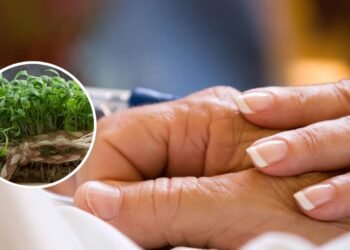 Este vegetal (muitas vezes ignorado) é uma 'arma secreta' contra o câncer