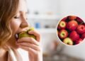 Poucos sabem: isso acontece com o corpo se você comer uma maçã todos os dias