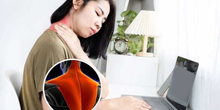 O exercício simples que alivia tensão no trapézio em menos de 3 minutos