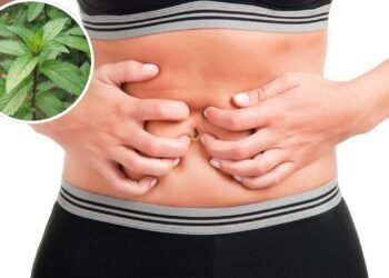 O chá poderoso mais indicado para reduzir gases e desconfortos pós-refeição