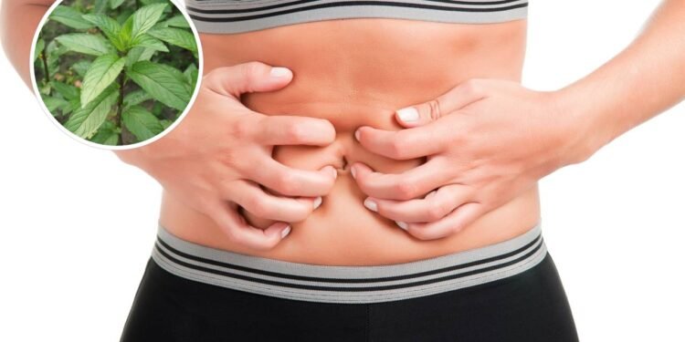 O chá poderoso mais indicado para reduzir gases e desconfortos pós-refeição