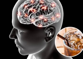 O que acontece com o cérebro quando bebemos um refrigerante diet todos os dias?