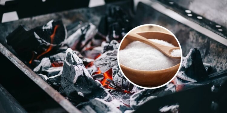 Quais são as vantagens de jogar sal nas brasas para fazer churrasco