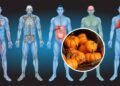 Os benefícios ocultos da abóbora para o corpo humano e como você pode incluir na dieta