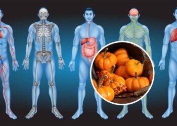 Os benefícios ocultos da abóbora para o corpo humano e como você pode incluir na dieta
