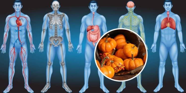 Os benefícios ocultos da abóbora para o corpo humano e como você pode incluir na dieta