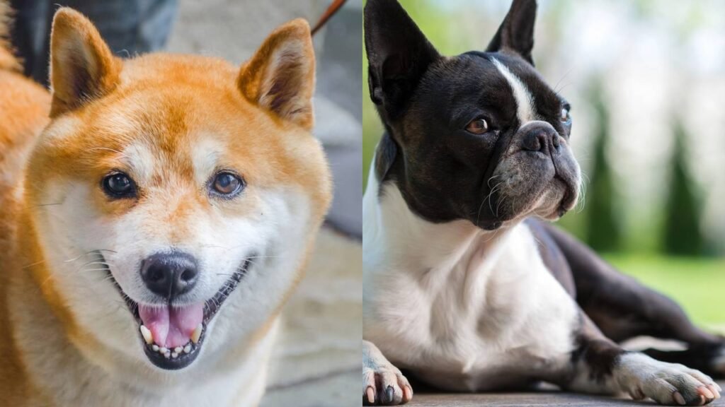 Créditos: depositphotos.com / bubutu