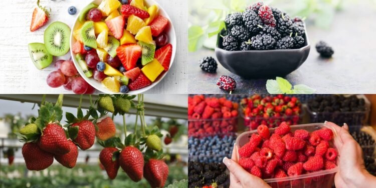 Favorecem a saúde cardiovascular e reduzem o risco de hipertensão - Créditos: depositphotos.com / baibaz / Créditos: depositphotos.com / maristos / Créditos: depositphotos.com / mallivan / Créditos: depositphotos.com / 160275