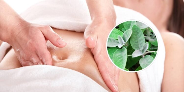 O segredo natural para reduzir o inchaço e conseguir um abdômen mais firme em pouco tempo