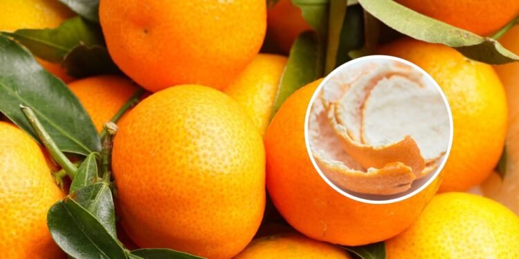 Poucos sabem para que serve colocar cascas de tangerina no sol
